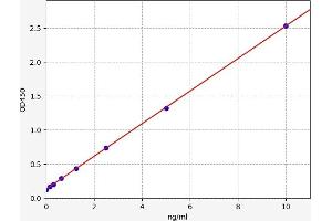 Fms-Related tyrosine Kinase 1 (VEGFR1) (FLT1) ELISA Kit