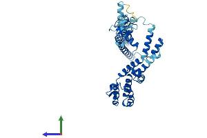 AlphaFold protein structure predicition of Mouse Recombinant Rmnd5a Protein, UniprotID Q80YQ8