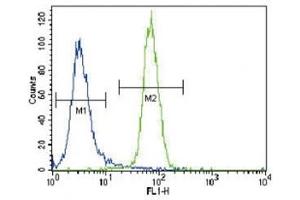 Flow Cytometry (FACS) image for anti-Runt-Related Transcription Factor 2 (RUNX2) (AA 445-474) antibody (ABIN3032500)