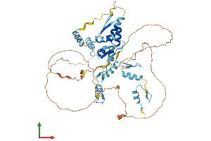 AlphaFold protein structure predicition of Human Recombinant ZBTB45 Protein, UniprotID Q96K62
