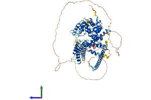 Protein Structure (PS) image for GIT1 (GIT1) (AA 1-770) protein (His tag) (ABIN7564007)