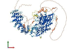 Protein Structure (PS) image for ATP/GTP Binding Protein 1 (AGTPBP1) (AA 1-1218) protein (His tag) (ABIN7563981)