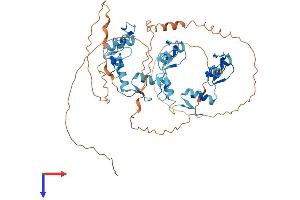ZNF768 Protein (AA 1-540) (His tag)