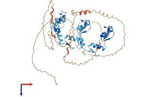 ZNF768 Protein (AA 1-540) (His tag)