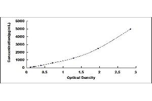 Typical standard curve (SCUBE1 ELISA Kit)