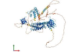 Protein Structure (PS) image for rho Guanine Nucleotide Exchange Factor (GEF) 7 (ARHGEF7) (AA 1-803) protein (His tag) (ABIN7552238)