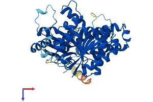 TUBB5 Protein (AA 1-444) (His tag)