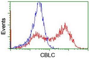 Image no. 2 for anti-Cbl proto-oncogene C (CBLC) (AA 244-474) antibody (ABIN1491263)