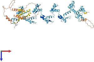 ZNF224 Protein (AA 1-707) (His tag)