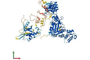 Protein Structure (PS) image for KRIT1, Ankyrin Repeat Containing (KRIT1) (AA 1-736) protein (His tag) (ABIN7554400)