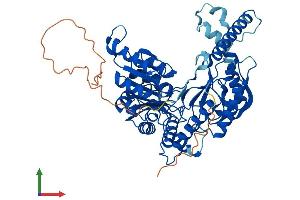 Protein Structure (PS) image for Serine Palmitoyltransferase, Long Chain Base Subunit 3 (SPTLC3) (AA 1-552) protein (His tag) (ABIN7555611)