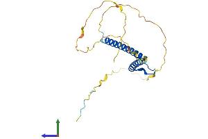 Protein Structure (PS) image for Neurogenin 3 (NEUROG3) (AA 1-214) protein (His tag) (ABIN7556730)