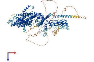 TRPC4 Protein (AA 1-977) (His tag)