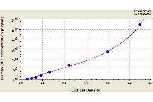 Dermatopontin ELISA Kit