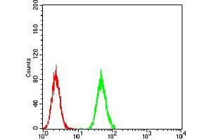 Flow Cytometry (FACS) image for anti-Chromobox Homolog 1 (CBX1) (AA 1-185) antibody (ABIN5890956) (CBX1 Antikörper  (AA 1-185))