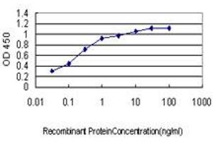 Detection limit for recombinant GST tagged YY1 is approximately 0. (YY1 Antikörper  (AA 221-320))