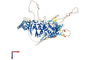 BBS10 Protein (AA 1-713) (His tag)
