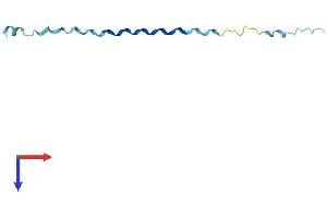 Small Proline-Rich Protein 2B (SPRR2B) (AA 1-72) protein (Fc Tag)