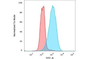 Flow Cytometric Analysis of PFA fixed MCF-7 cells using EpCAM Mouse Monoclonal Antibody (EGP40/826) followed by Goat anti-mouse IgG-CF488 (Blue), Isotype Control (Red). (EpCAM Antikörper  (N-Term))