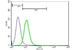 U937 cells probed with Rabbit Anti-Annexin A2 Polyclonal Antibody,FITC Conjugated (ABIN670356-FITC) at 1:50 for 40 minutes (green) compared to control cells (blue). (Annexin A2 Antikörper)