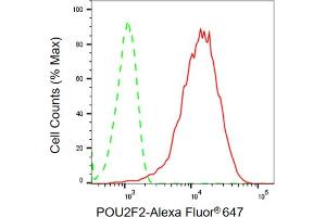 Flow cytometric analysis of POU2F2 expression in HepG2 cells using POU2F2 antibody (ABIN7799890), 1:2,000). (Rekombinanter Oct-2 Antikörper)