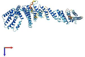 NUP85 Protein (AA 1-656) (His tag)