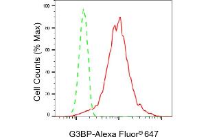 Flow cytometric analysis of G3BP expression in HepG2 cells using G3BP antibody (ABIN7798814), 1:2,000). (Rekombinanter G3BP1 Antikörper)