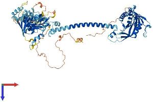 GUCY1A1 Protein (AA 1-691) (His tag)