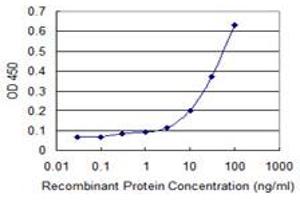 Detection limit for recombinant GST tagged GIMAP2 is 1 ng/ml as a capture antibody. (GIMAP2 Antikörper  (AA 1-100))