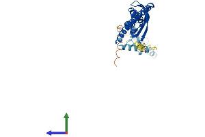 AlphaFold protein structure predicition of Human Recombinant STOM Protein, UniprotID P27105 (Stomatin Protein (STOM) (AA 1-288) (His tag))