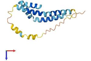 FUNDC1 Protein (AA 1-155) (His tag)