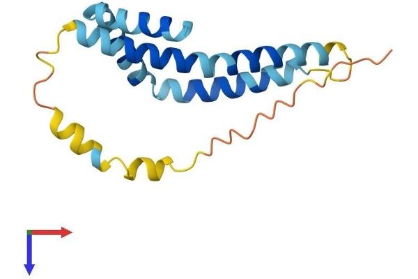 FUNDC1 Protein (AA 1-155) (His tag)