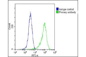 Overlay histogram showing Hela cells stained with (ABIN391965 and ABIN2841761)(green line). (FGFR2 Antikörper  (N-Term))
