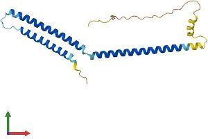 Protein Structure (PS) image for Mediator Complex Subunit 22 (MED22) (AA 1-200) protein (His tag) (ABIN7557779)