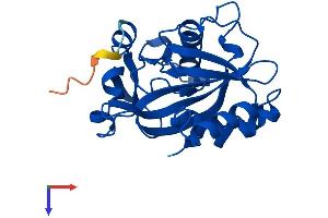 IPP Isomerase 2 Protein (IDI2) (AA 1-227) (His tag)