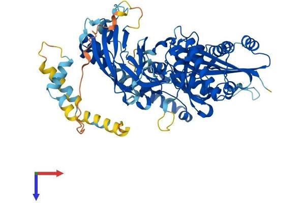 Cep76 Protein (AA 1-659) (His tag)