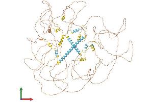 Protein Structure (PS) image for Nuclear Receptor Interacting Protein 1 (NRIP1) (AA 1-1161) protein (His tag) (ABIN7564532)