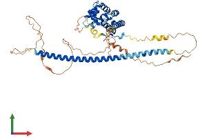AlphaFold protein structure predicition of Human Recombinant RUNDC3A Protein, UniprotID Q59EK9