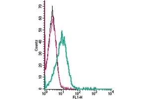 Flow Cytometry (FACS) image for anti-Leucine Rich Repeat Containing 8 Family, Member A (LRRC8A) (AA 91-104), (Extracellular) antibody (ABIN7043301)