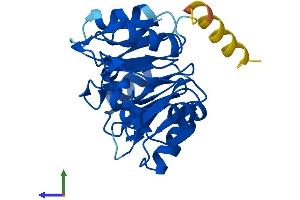 Protein Structure (PS) image for Eukaryotic Translation Initiation Factor 6 (EIF6) (AA 1-245) protein (His tag) (ABIN7562488)