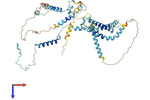 UTP3 Protein (AA 1-469) (His tag)