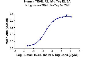 Immobilized Human TRAIL at 1 μg/mL (100 μL/well) on the plate. (TNFRSF10B Protein (AA 56-182) (Fc Tag))