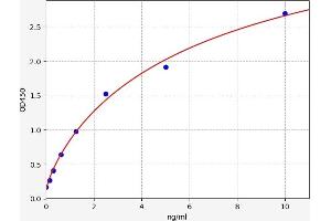 Typical standard curve (ATP7A ELISA Kit)