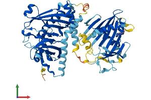 Protein Structure (PS) image for Acyl-CoA Thioesterase 12 (ACOT12) (AA 1-556) protein (His tag) (ABIN7561284)