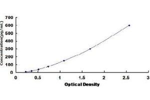Typical Standard Curve
