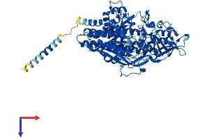 NAALAD2 Protein (AA 1-740) (His tag)