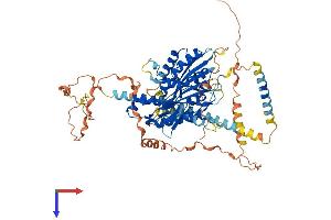 KIF12 Protein (AA 1-642) (His tag)