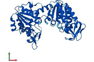 Protein Structure (PS) image for Phosphoglycerate Kinase 2 (PGK2) (AA 1-417) protein (His tag) (ABIN7550729)