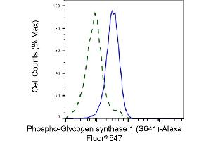 Validation of Glycogen synthase 1 knockdown using flow cytometry. (Rekombinanter Glycogen Synthase 1 Antikörper  (pSer641))