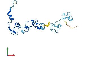 AlphaFold protein structure predicition of Human Recombinant CPSF4L Protein, UniprotID A6NMK7